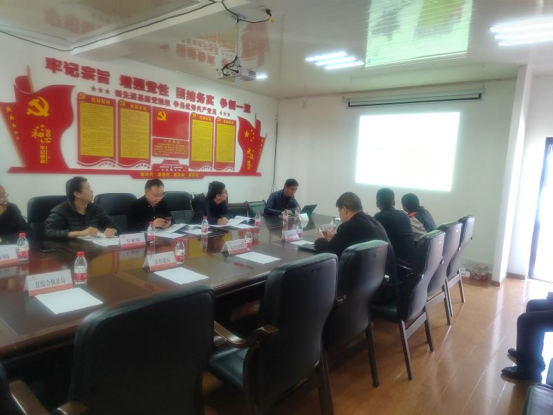 盐边评审汇报会