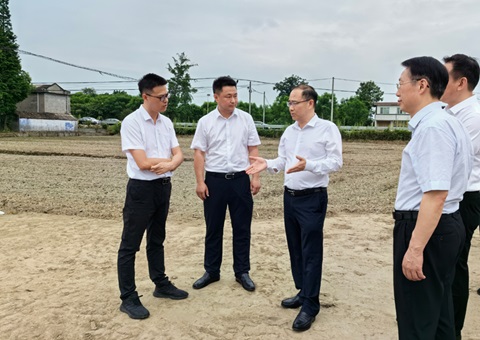 胡云赴眉山调研耕地；だ煤透叱叨扰┨锝ㄉ韫ぷ