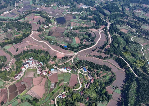 内江市东兴区局全面做好耕地； 全力做好用地保险