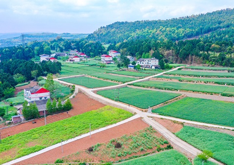 广元市奉杏装卫星田长”科技助力精准；じ