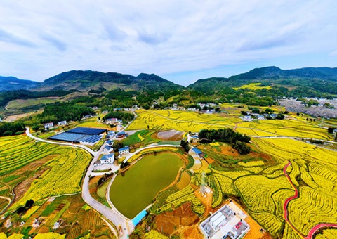 投资超千亿 &nbsp;&nbsp; 广东全域地皮综合整治实现“开好局” 