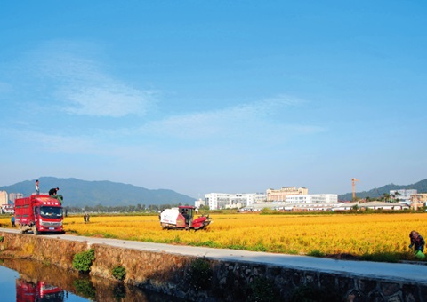 瞭望｜广东：“耕”出新动能 “连”出好景致