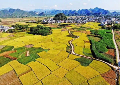 强化“指挥棒”作用&nbsp;&nbsp;柳州市发放500万元耕地；ぁ凹だ彀