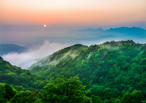 福建丛林提质四大行动打造苍生“幸？可健