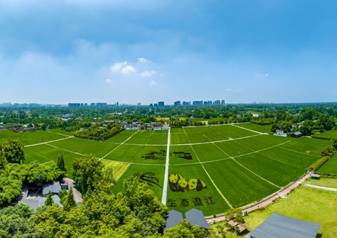 四川省成都市温江区局以综合监管驾驶舱为核 &nbsp;&nbsp;全面激活数智治理新效力