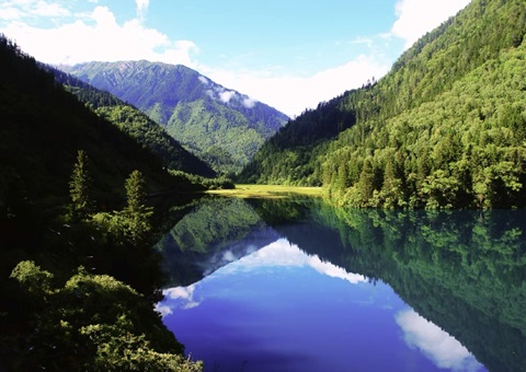 预计2025年底，四川省“林粮”产量1500万吨、产值1800亿元