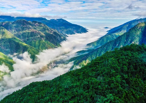 “组合包”，通顺生态产品价值转化