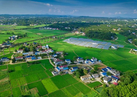 湖南：靶向发力盘活存量地皮资产<br>为206家机关企事业单元定造措置规划，盘活地皮2.6万亩