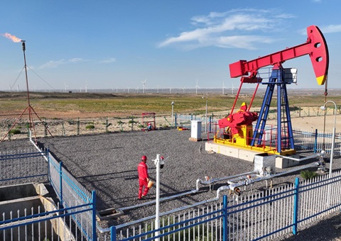 宁夏纵深推动新一轮找矿突破战术行动，执行一批煤层气、页岩气、煤炭等勘查项目