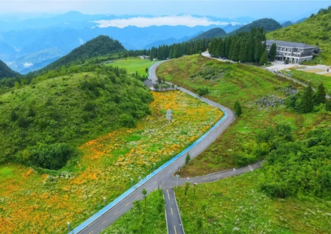 沉庆云阳：全国首例，获批1.8亿！