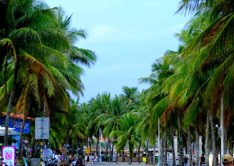 建“清冷城视妆，海南有何“凉方”?