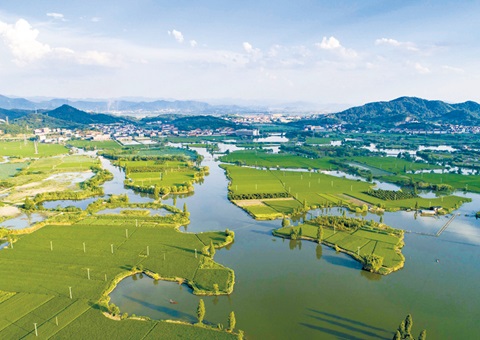 浙江率先完玉成国首个国度公园资产查究试点和全省域建设用地使用权情况查究。