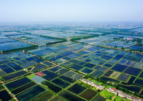 湖北潜江规范产权买卖&nbsp;&nbsp;滩田身价翻7倍