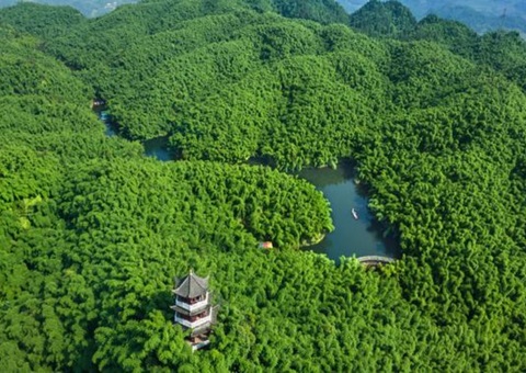四川颁布林草碳普惠项目步骤学&nbsp;&nbsp;&nbsp;&nbsp;助推生态产品价值变现