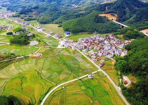 南宁创新“菜单式”服务   数智赋能设施农用地高效登记