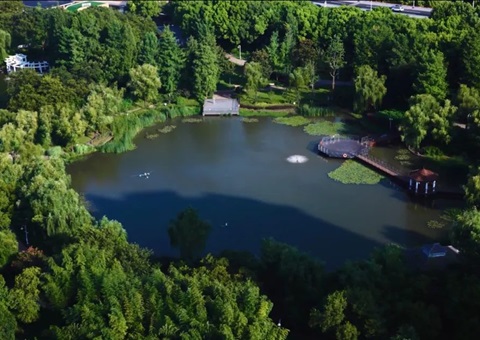 上海订正林长造配套造度为基层减负