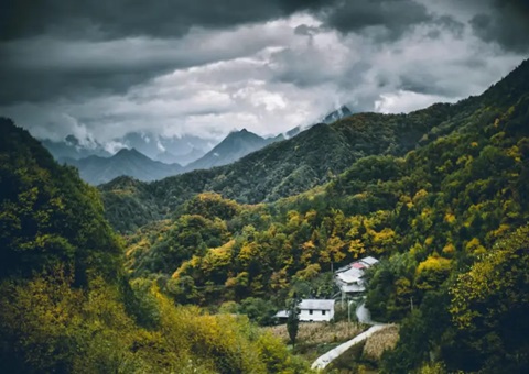 沉庆“国储林+”推动绿色转型惠民生